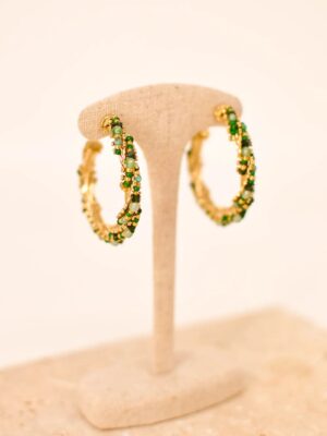 Image 2025-08-15 à 12.00.17_018b6112 Solmuscera