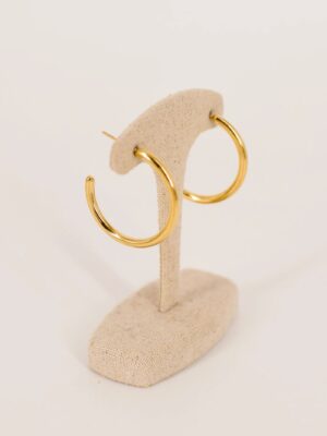 Image 2025-08-15 à 12.00.18_72e840a9 Tuberina