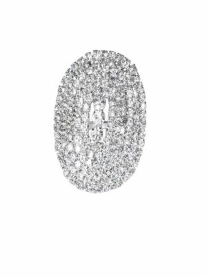 fleur nebul(1) Fleur Nébuleuse